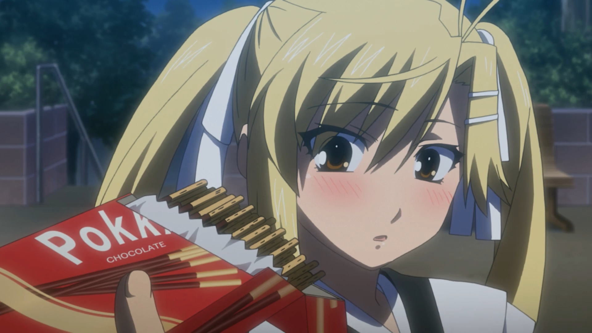 Nyan Koi! (Mujiwaras Fansub)